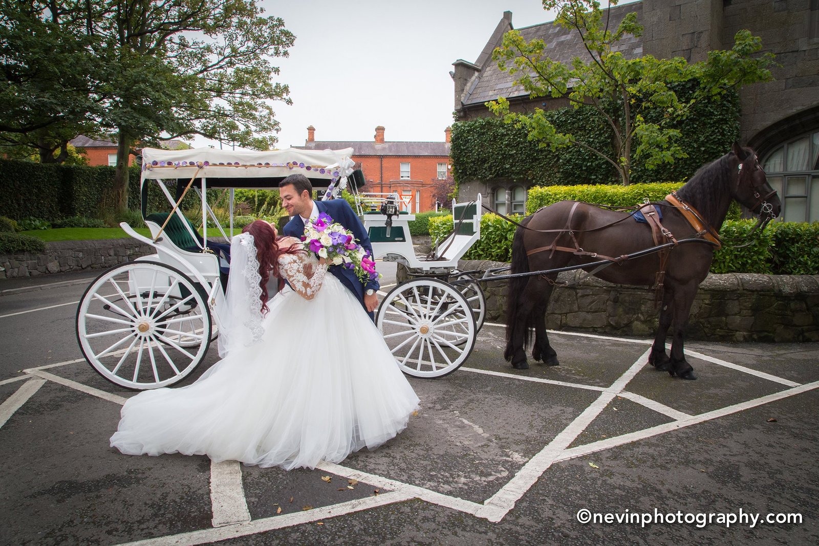 Horse and Carriage at Clontarf Castle Hotel